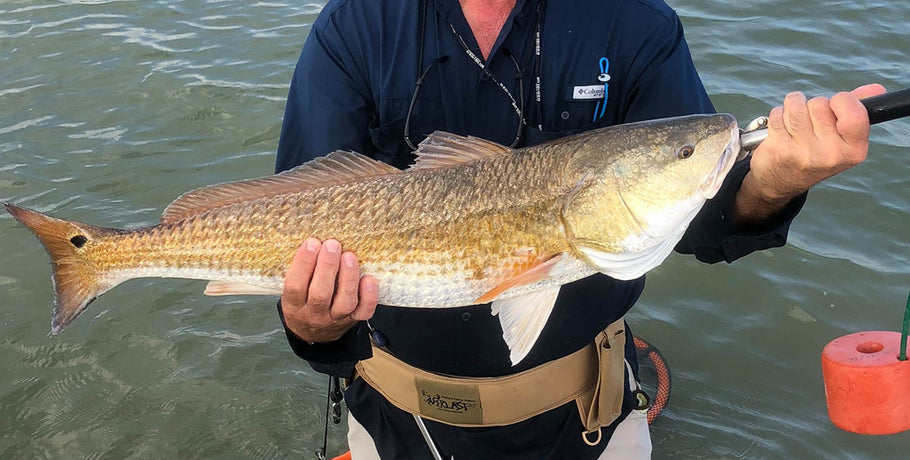 10derized Redfish on the Half-Shell